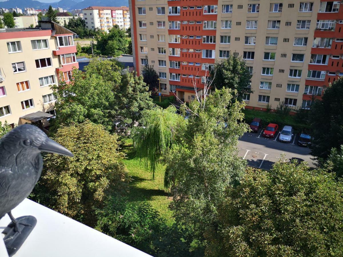 Certo Apartment Braşov Buitenkant foto